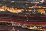 Polished Tiger Iron Stromatolite Slab - Billion Years #222085-1